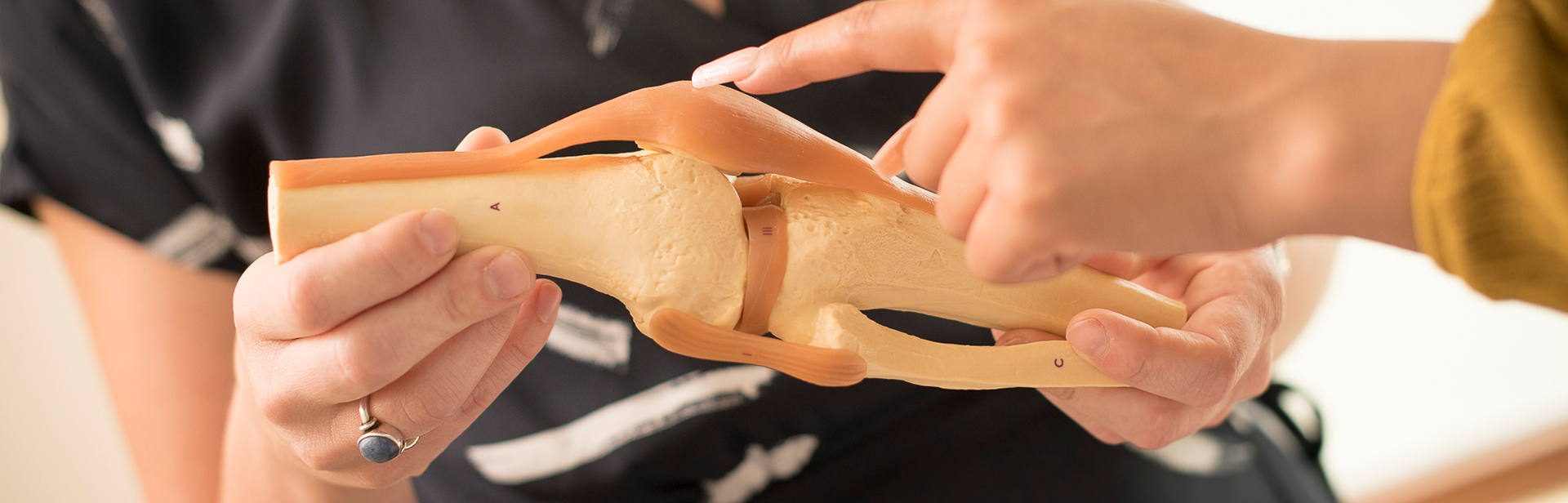 Looking at knee model