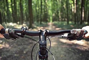 Happy National Go For A Ride Day!