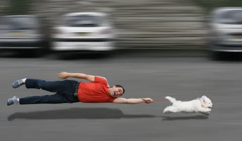 Fun fur miles— A guide to running with your pooch