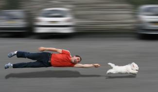 Fun fur miles— A guide to running with your pooch thumbnail