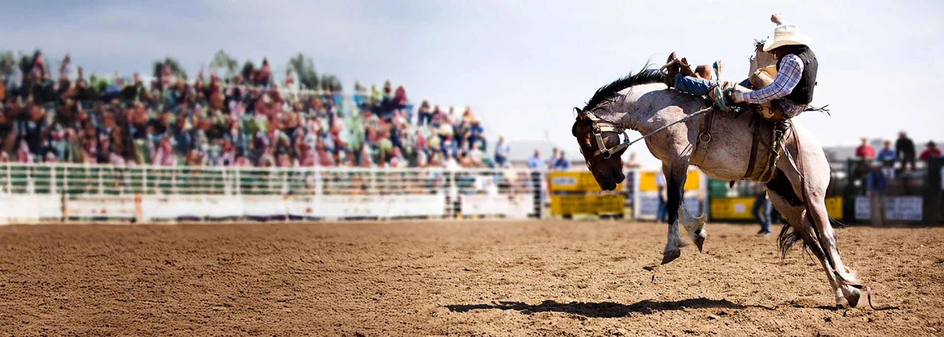 cowboy riding a horse